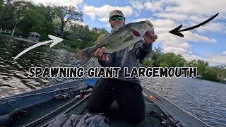 How to Catch Largemouth Bass During the Spawn? ( 20+ Pounds)