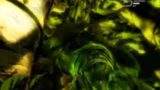 Hot Wheels - Acceleracers.avi