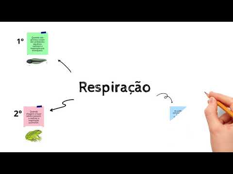 Respiração dos anfibios