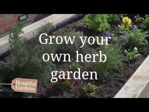 Grow your own herb garden - video from Bents