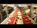 Industria argentina, tomates