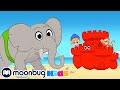 Все животные на пляже | Детские мультики | Morphle | Морфл | Moonbug Kids