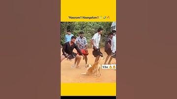 Thumbnail of Fun Vibe 🔥 #remix #dj #song #love #sokkana_kuppathil_song #tamil