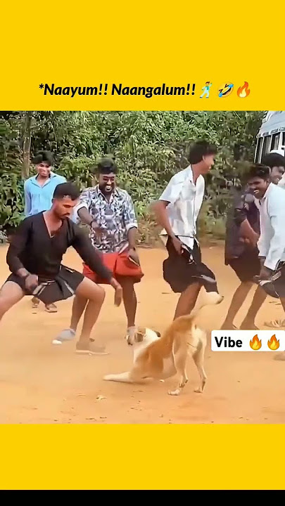 Fun Vibe 🔥 #remix #dj #song #love #sokkana_kuppathil_song #tamil