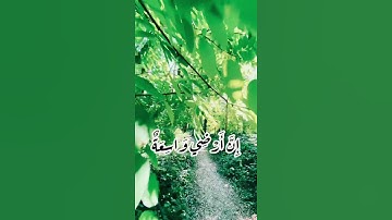 يَاعِبَادِيَ الَّذِينَ آَمَنُوا إِنَّ أَرْضِي وَاسِعَةٌ)سورة العنكبوت بصوت جميل Sourate Al-Ankabut