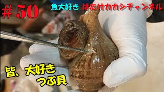 【ツブ貝のむき方】意外と知らない殻を割らずにむく方法！