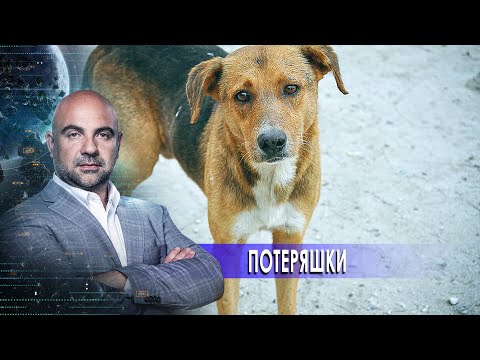 Потеряшки. «Как устроен мир" с Тимофеем Баженовым (01.02.21).