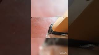 Jinish Ta Ami Nilam Tmder Kamon Laglo Amk Tktu Bolo Plz