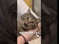 爪切り中の表情が面白すぎる猫😂 #猫 #ねこ #かわいい犬 #面白い #猫のいる暮らし
