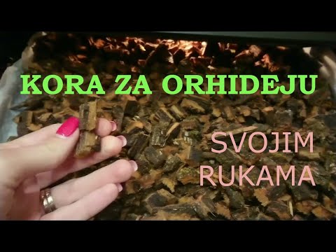 Video: Šta su hrastove paprati - savjeti za njegu hrastove paprati u vrtovima