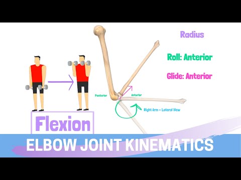 Video: How To Explain The Phraseological Unit 