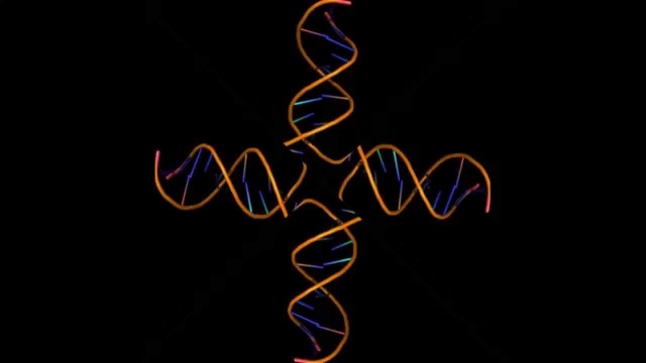 DNA Hologram YouTube