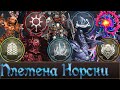 Племена Норски | Чудовище, Лор и Что еще можно реализовать в Total War Warhammer 3.