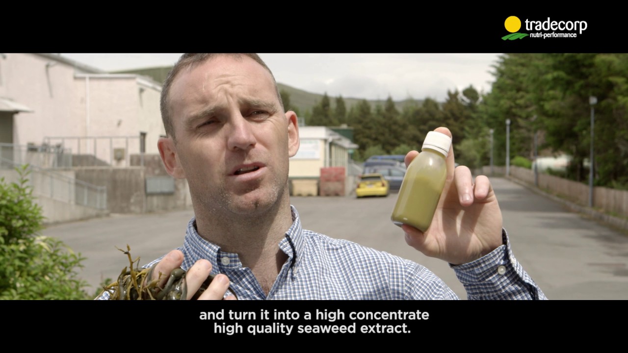 Phylgreen_Beyond nutrition_EN