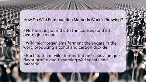 How Do Wild Fermentation Methods Work in Brewing? | The Pint Guy