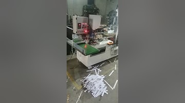 Automatic straw wrapping packing machine