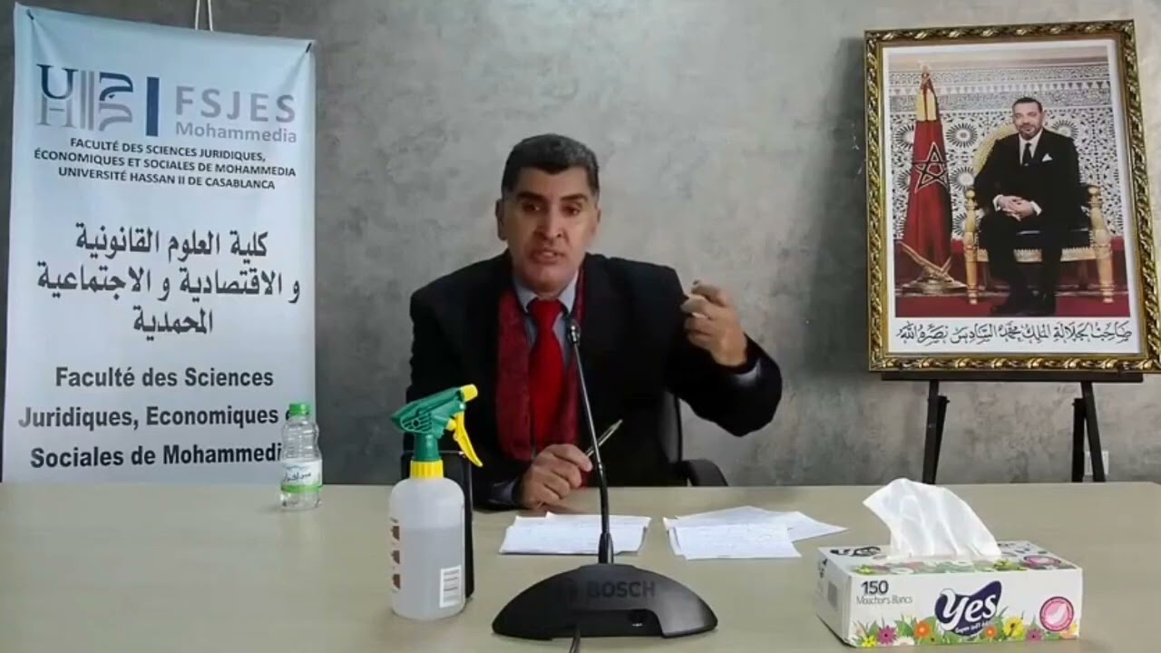 آليات الحماية الدولية لحقوق الانسان - المحاضرة الرابعة- للدكتور محمد زين الدين