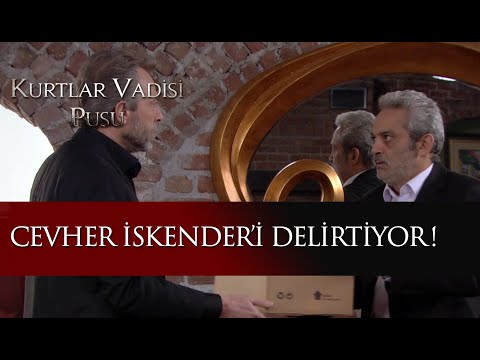 Cevher İskender'i delirtiyor!