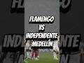“Confusão interrompe jogo do Flamengo e Independente de Medellín na Libertadores”