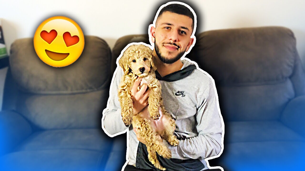 New Member To My Family I Got A New Dog Youtube