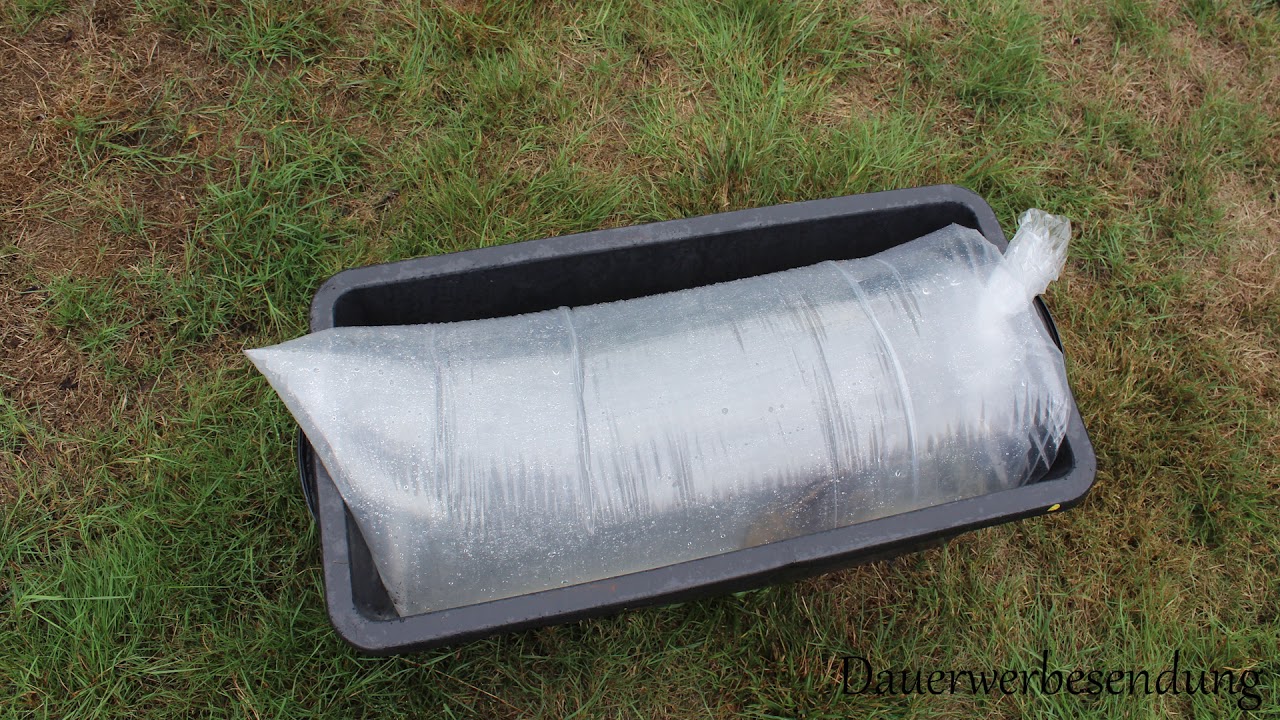 Fischtransport- so gehts! Blog 23