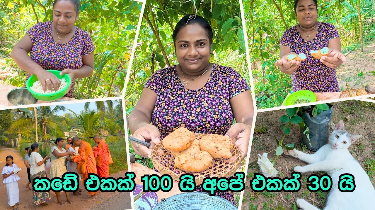 ඉස්සරහට දකින්න නොලැබෙයි කියල හිතන ලස්සන දසුනකින් දවස ඇරඹුම - VeggieMaster