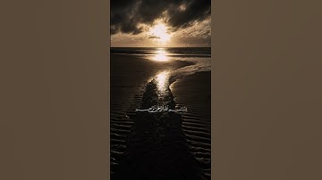 الشيخ سعد الغامدي سورة الاخلاص