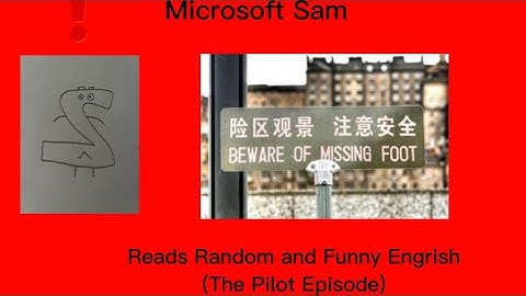 Microsoft Sam reads Random and Funny Engrish THE FIRST
