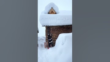 Do you want to feel the joy of clearing snow from the roof?