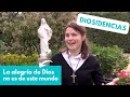 La alegría de Dios no es de este mundo | DIOSIDENCIAS