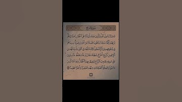 سورة الفتح - الاية 29 🤍🤍.