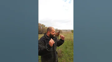 Как защититься от удара копыт бешеной лошади