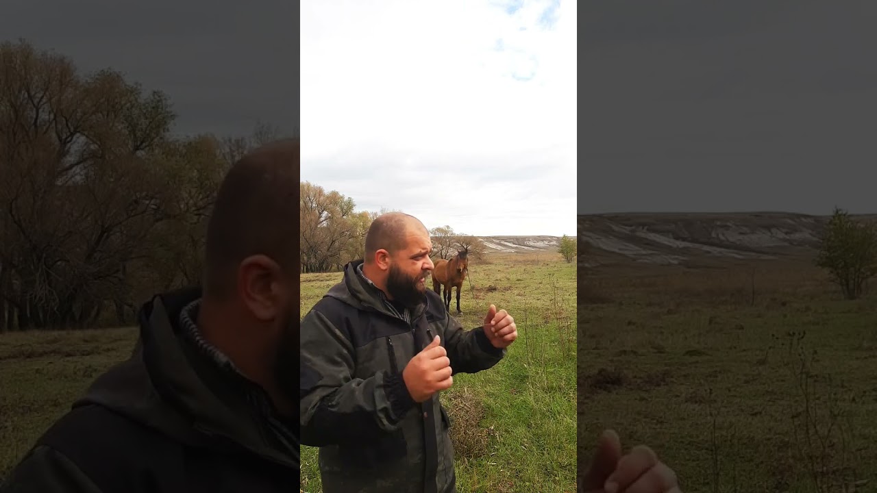 Как защититься от удара копыт бешеной лошади - YouTube