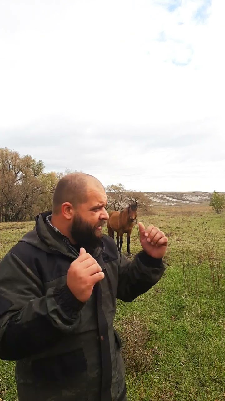 люди и лошади