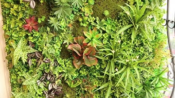 Tường cây giả trang trí ban công | Tường cây giả | LANCECOR | 0974781440