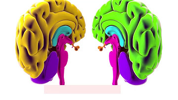 Rethinking our consciousness.