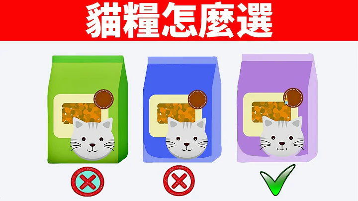 这款猫粮好不好？干饲料挑选重点要记牢！【猫咪养护EP3】 - 天天要闻