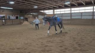 Sweet Gray Lunging