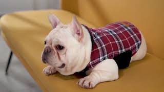 Warm Dog Coat Reversible Dog Jacket Waterproof Dog Winter Coat British Style Plaid Dog Clothes Pet