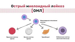 Типы острого миелоидного лейкоза