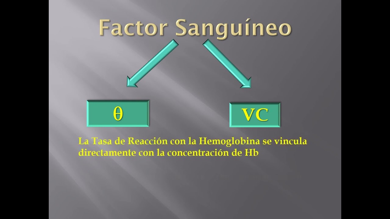 R  Seminario 3  Difusión y transporte de gases por la sangre UA2  FMED  UBA