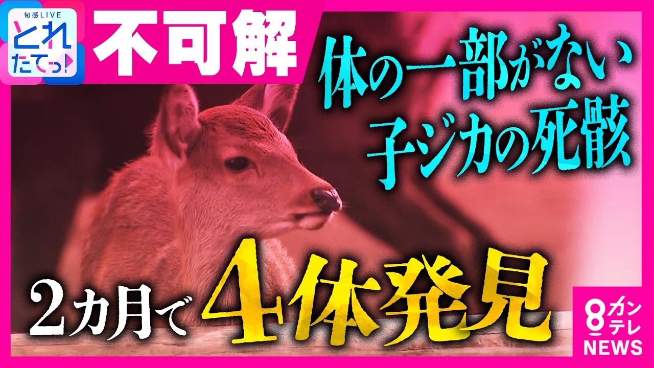 Original Title & Thumbnail