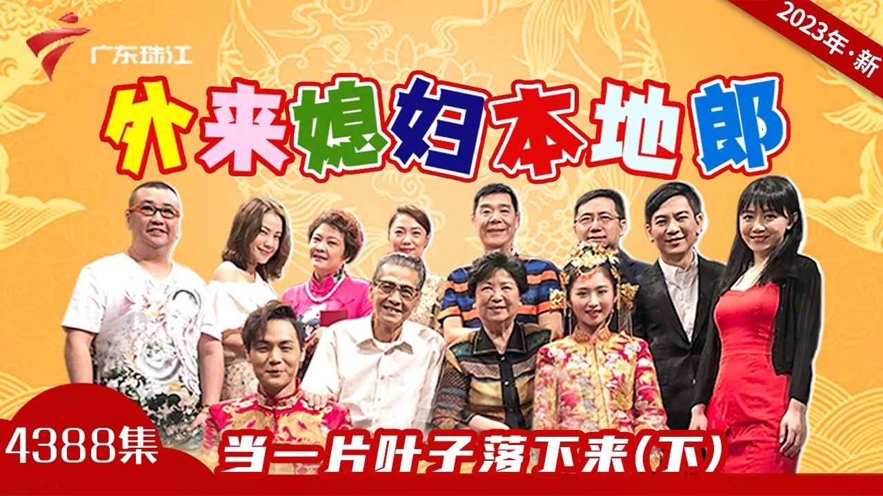 4388集 当一片叶子落下来(下)【外来媳妇本地郎2023】第11部 #粤语