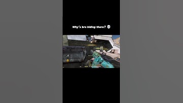 BRO💀#callofduty #callofdutymobile #codm #codmobile #highlights #fennec