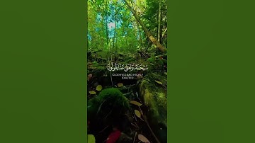#القرآن _ الكريم #ماتيسر من_سورة_الإسراء #اللهم صل وسلم وبارك على نبينا محمد