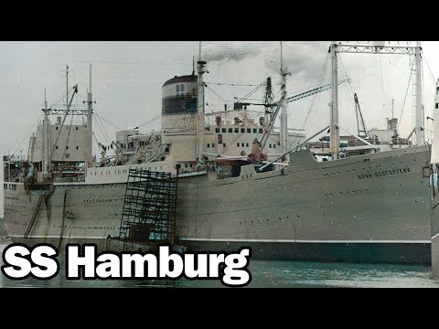 Video: Vreme in podnebje v Hamburgu v Nemčiji