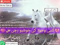 KarBalA Tv Videos KarBalA Tv Videos