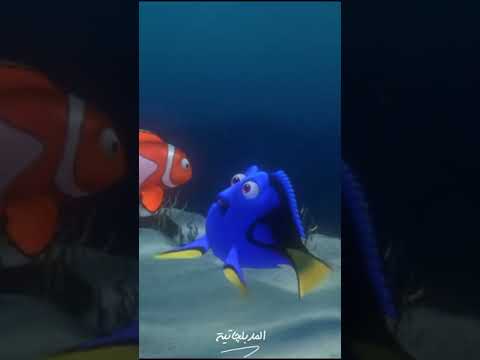 عيب كده بتعوم ورايا ليه يا بايخ عصبية مضحكة انمى افلام كرتون نيمو دورى عبلة كامل
