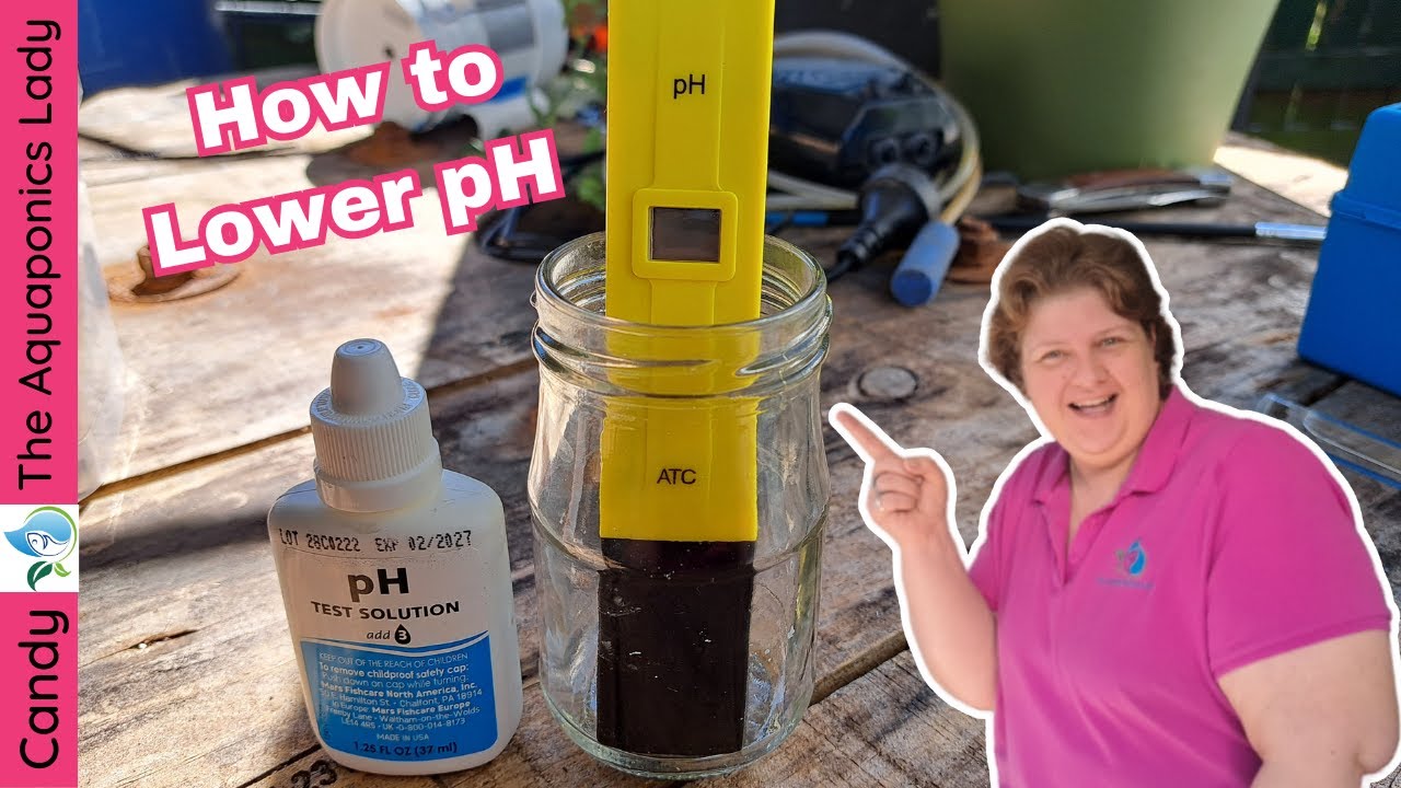 Balancing Act How to Lower pH in Aquaponics System YouTube