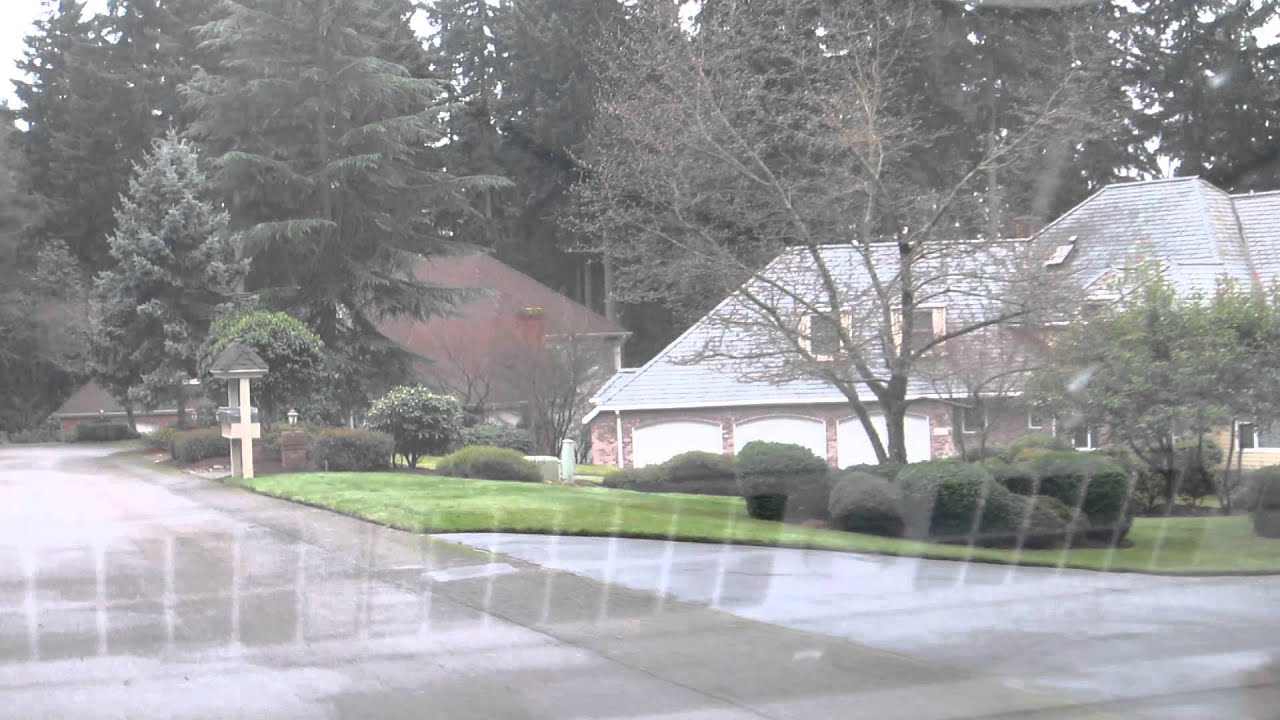 Belmont neighborhood YouTube